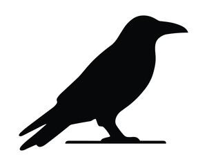 Obraz premium Black silhouette of a raven bird