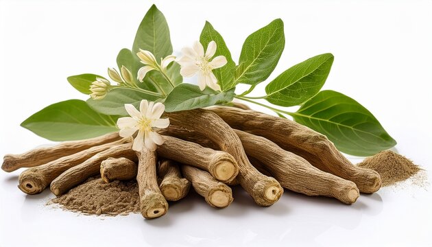 ashwagandha roots leaves and flowers with intricate details natural isolated white background