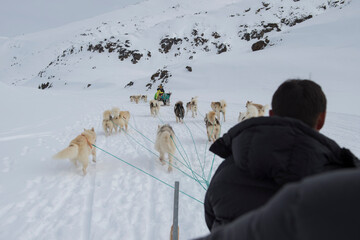 Greenland dogsledding © ArcticPassion