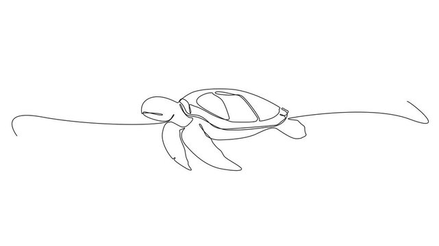 animated continuous line drawing of a sea turtle swimming, minimalist marine life line art animation