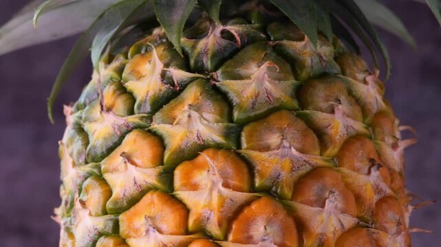 Close-up rotating shot of pineapple skin texture with leaves on a dark background.	