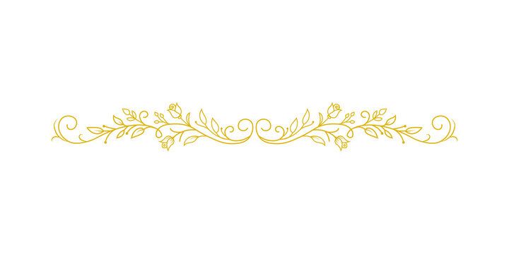 Gold decorative floral divider ornament isolated on transparent background