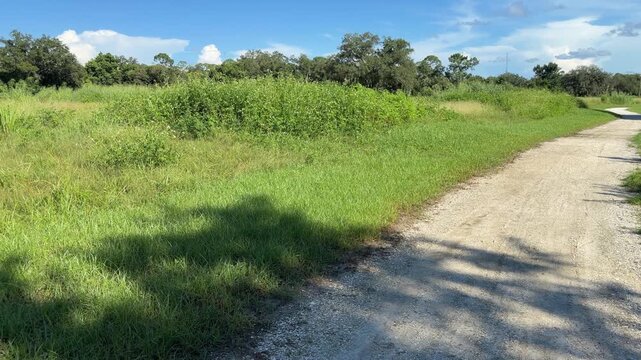 Sweeping summer view of repurposed cart path and onetime fairway along part of a municipal golf course converted to a municipal nature park in Sarasota, Florida. Motifs of rewilding, recreation.