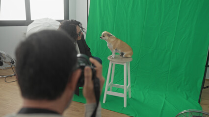Man shooting small chihuahua on wooden stool in studio with green screen backdrop, hand outstretched to dog  pet bonding playful. © Krakenimages.com
