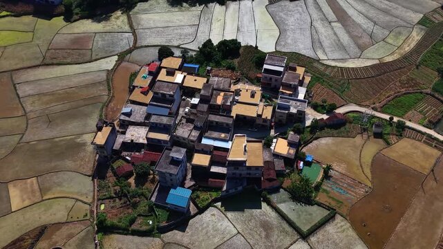 Aerial view of yellow corn and golden rice drying side by side on village rooftops