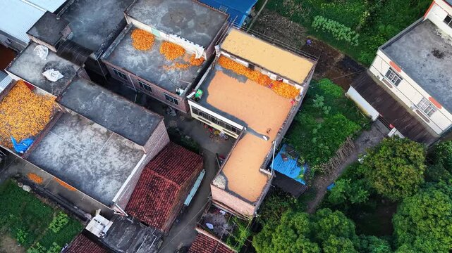 Aerial geometric pattern of grain drying on rooftops in a rural Chinese village