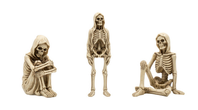 Creative halloween skeleton decorations in different poses for festive celebrations and themed gatherings