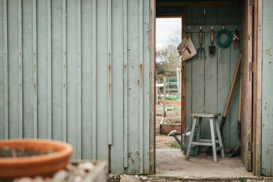 Garden tools hanging inside an allotment shed doorway &ndash; Ideal for gardening brands, seed catalogues, or allotment blogs