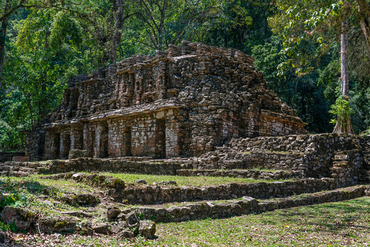 Mayan labyrinth structure 19, Yaxchilan, Mexico.