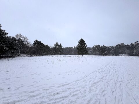 Blick &uuml;ber die verschneite Landschaft am Augustdorfer D&uuml;nenfeld im Winter, Augustdorf, Kreis Lippe, Winter, Detmold, Ostwestfalen-Lippe