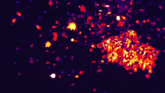 Carved Halloween pumpkins cluster amid floating autumn leaves against a dark atmospheric background in a horizontal 3D animation
