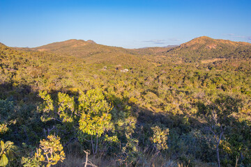 Beautiful Savannah Landscape With Mountain in Center of Brazil. Near Pirenopolis.