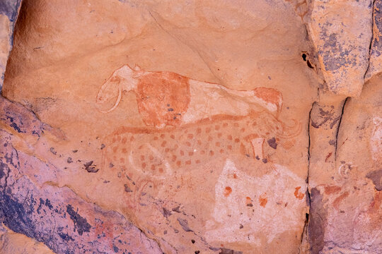 Rock painting depicting cows, Tassili N'Ajjer National Park, Tadrart Rouge, Algeria