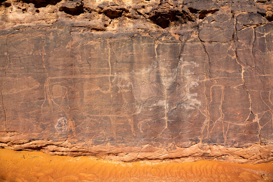 Rock carvings depicting cows, Tassili N'Ajjer National Park, Tadrart Rouge, Algeria
