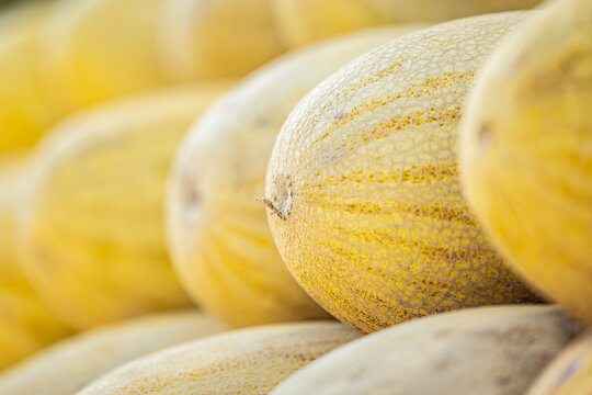Netted yellow melon skin fills the frame at an open air produce market