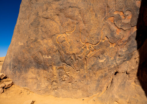 La vache qui pleure rock carving, North Africa, Erg Admer, Algeria