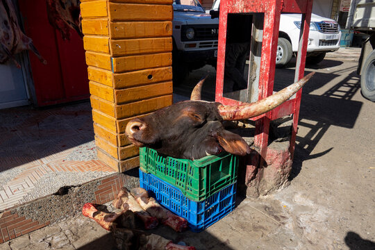 Butcher shop displaying a bull's head and horns on the street, North Africa, Djanet, Algeria