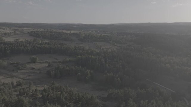 Lake view and forest
