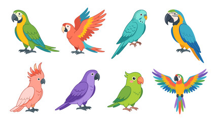 Obraz premium Colorful Tropical Parrot and Macaw Collection Flat Vector Bird Illustrations Isolated on White