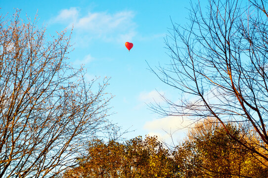 Red hot air balloon floating high in a clear blue sky framed by bare tree branches and autumn foliage on the sides, October travel adventure background