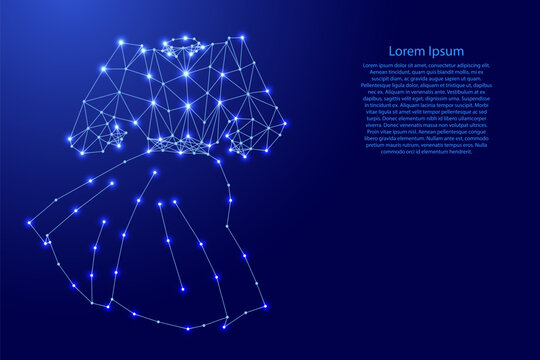 women dress with sleeves from futuristic polygonal blue lines and glowing stars for banner, poster, greeting card