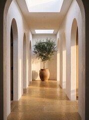 Fototapeta premium White Corridor with Olive Tree in Large Terracotta Urn