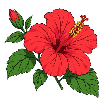 Beautiful red hibiscus flower with green leaves vector illustration isolated on white background.