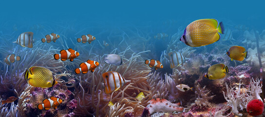 Underwater scene with tropical clownfish and butterflyfish on a colorful coral reef ©  SobuzForge