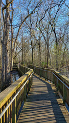 Fototapeta premium Grand Cote National Wildlife Refuge in Avoyelles Parish, Louisiana