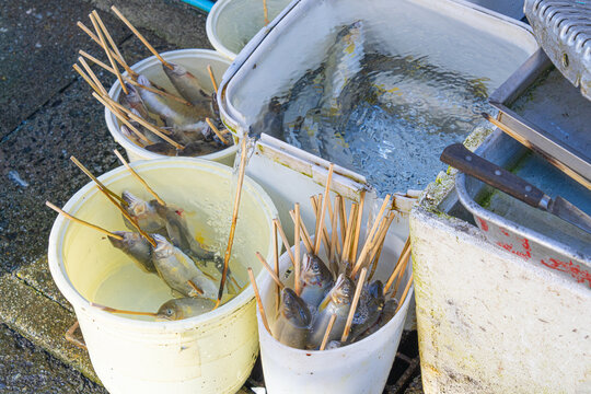 Ayu sweetfish on skewers prepared beside water containers