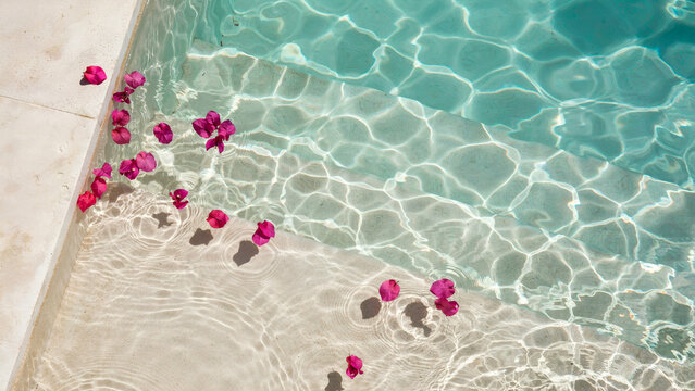 Pink flower petals floating on turquoise swimming pool steps with sunlit rippling water texture