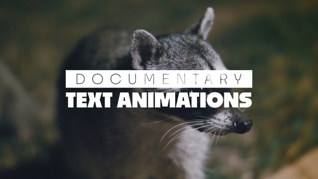 Text Animations for Documentary Video