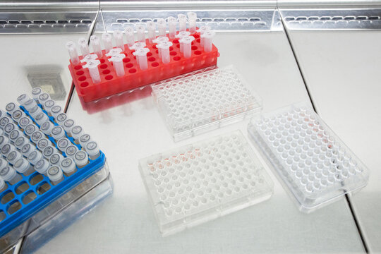 Immunological plates for antibody reactions lie on the laboratory bench next to boxes of test tubes.