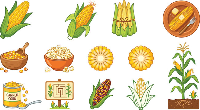 Corn Products and Maize Agriculture Vector Set Featuring Popcorn, Canned Corn, Cooked Cob, Corn Maze, and Stalk Illustrations for Food Branding