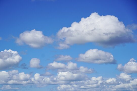Fluffy white cumulus clouds on blue sky background