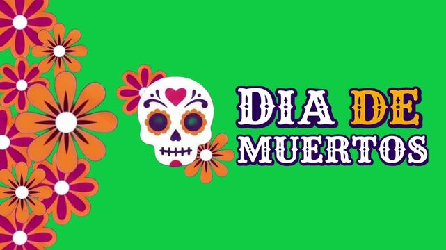 Dia de Muertos Typography Animation with Sugar Skull and Colorful Flowers on green Background, Mexican Holiday Motion Graphic 4k video