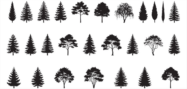 Forest tree species black silhouettes set displaying evergreen pines deciduous oaks and weeping willows vector Illustrator Eps 10.eps