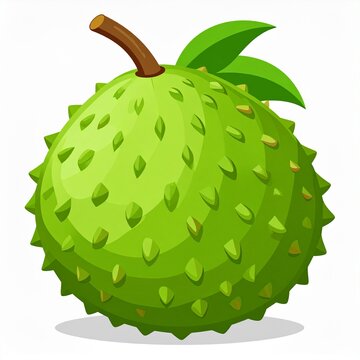 Vector illustration of a ripe green soursop fruit with a brown stem and leaves.