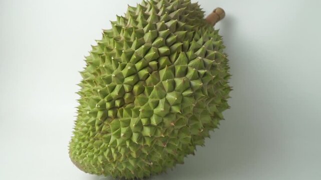 Whole fresh king of fruit durian with sharp green spiky husk isolated on white background, studio shot concept for tropical fruit harvest, exotic food, Asian cuisine, and gourmet dessert.