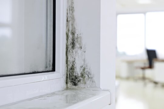 Black mold growth on a white window frame in a damp indoor room environment.