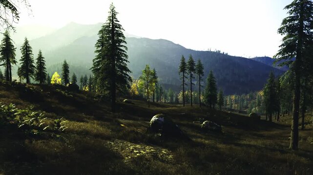 Misty alpine meadow boulder with morning haze and soft light, distant peaks shrouded in fog, dewy grasses and moss around stone create tranquil, contemplative