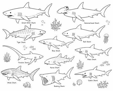 Set of black and white hand drawn sea animals and fish icons on white background