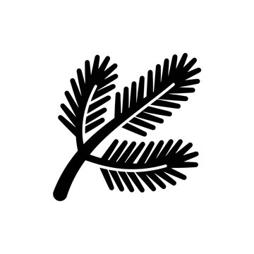 Minimalist black spruce branch silhouette with pine needles for winter holiday and nature themed graphic design