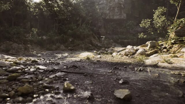 golden hour stream glancing off rounded rocks, shallow flowing water with warm backlight creating long highlights, gentle ripples and soft shadows, peaceful