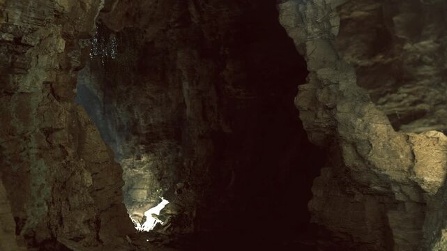Hang son doong karst survey scene shows stratified limestone walls and illuminated pocket of vegetation under narrow skylight, damp atmosphere and textured