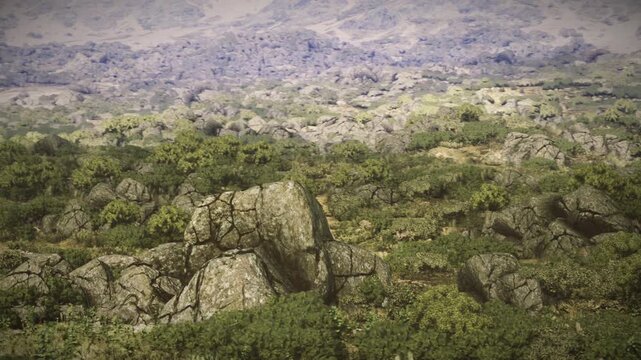 Remote elevated rocky region surrounded by drifting mist and wilderness. Serene and solitary elevated landscape featuring rugged stones and soft cloud layers