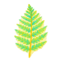 Obraz premium PNG Colorful textured fern leaf illustration.