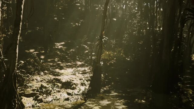 Misty swamp floor with sunbeams casting dramatic light, shallow reflective water, gnarled tree trunks, scattered leaves, serene foggy atmosphere inviting quiet