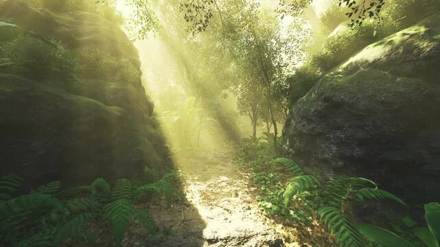 Sunlit gorge entrance framed by moss and fern, cool rock walls and warm beams create contrast, secluded vibe suited for wilderness discovery and eco retreat