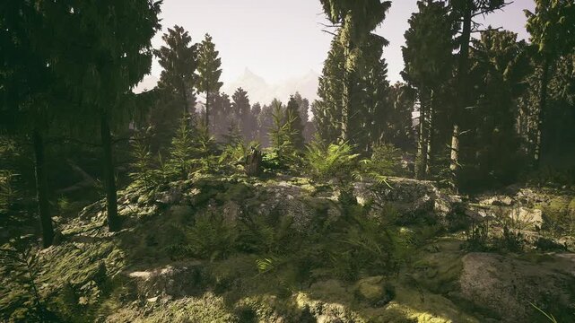 Golden hour pine forest bathed, warm amber light backlighting foliage, long soft shadows, textured moss and undergrowth creating cinematic mood for lifestyle
